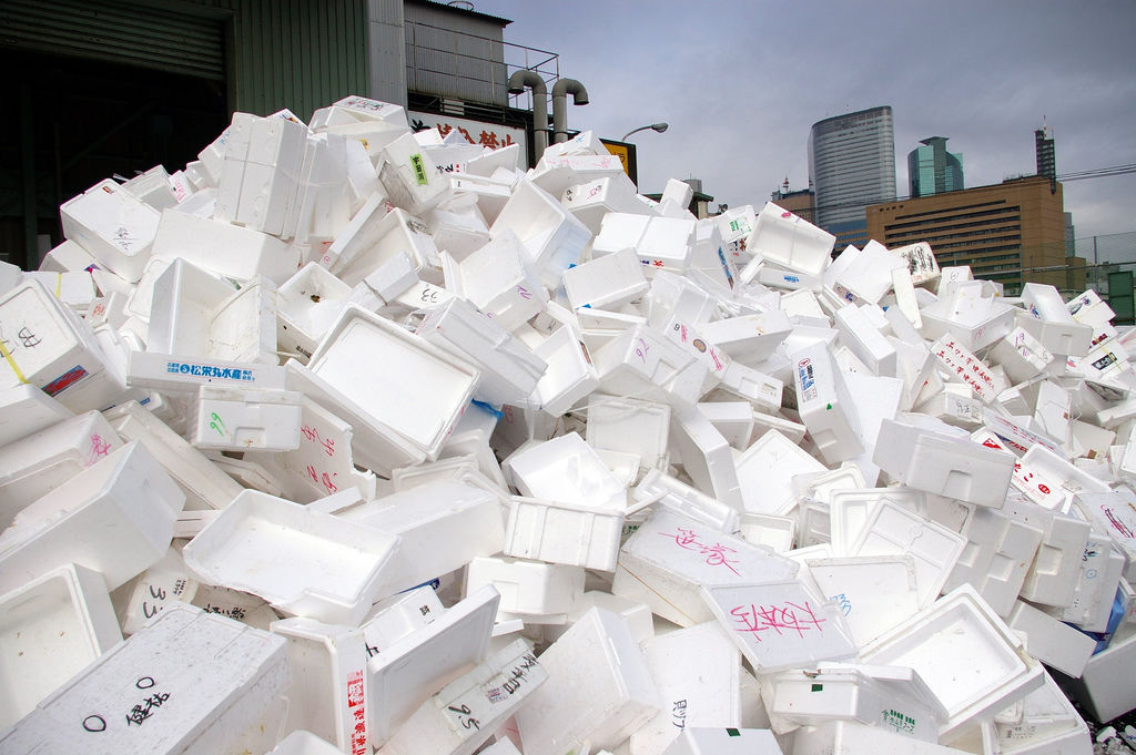 EPS Foam